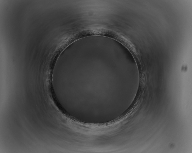 X0000100750018200806191154