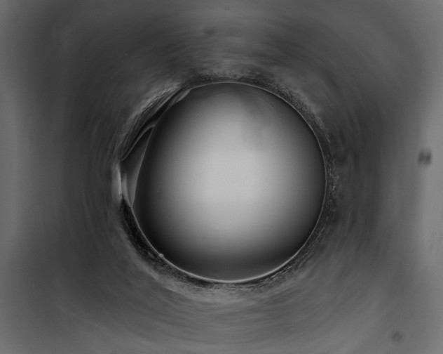 X0000100750020200806191154