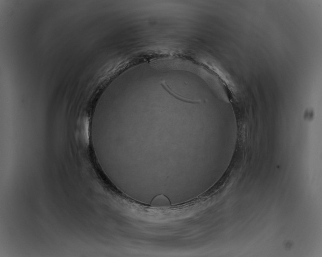 X0000100750022200806191154