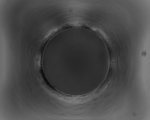 X0000100750023200806191154