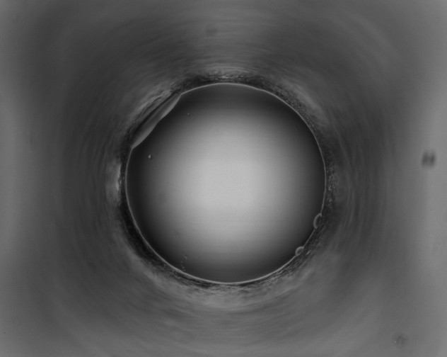 X0000100750024200806191154