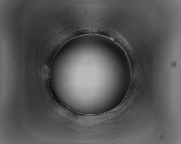 X0000100750025200806191154