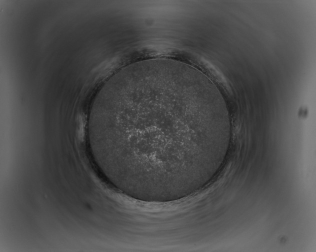 X0000100750026200806191154