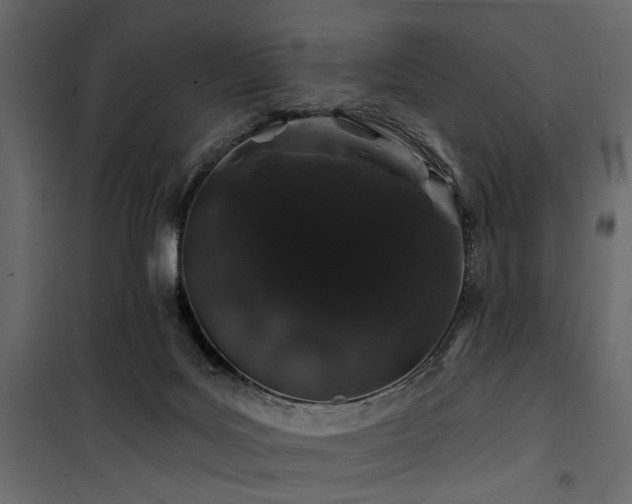 X0000100750027200806191154