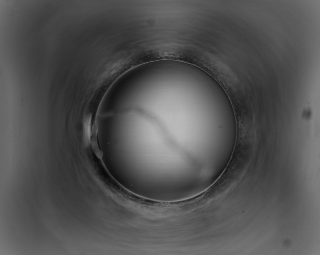 X0000100750028200806191154