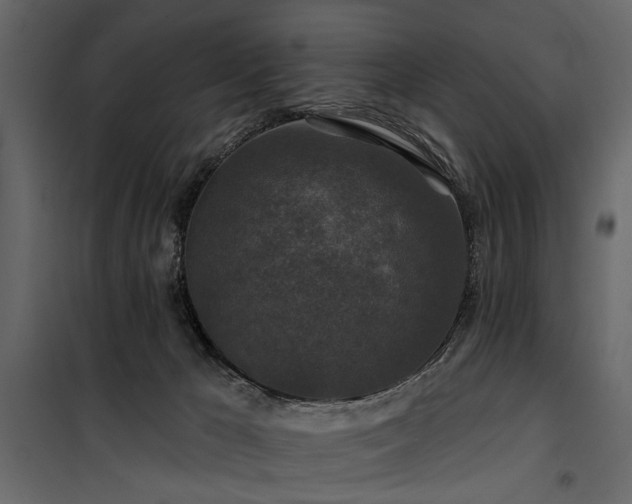 X0000100750029200806191154