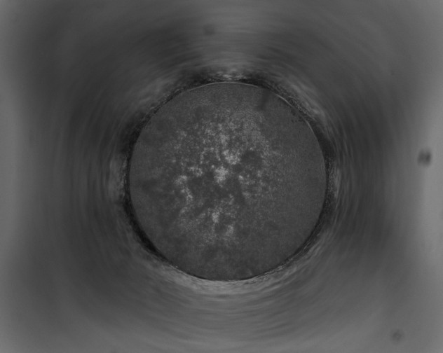 X0000100750030200806191154