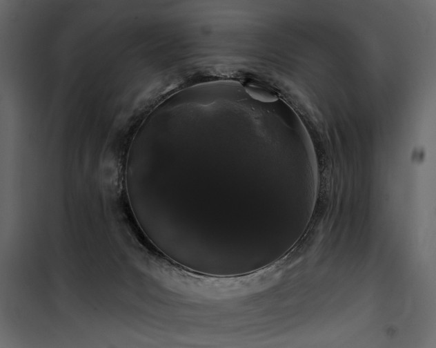 X0000100750031200806191154