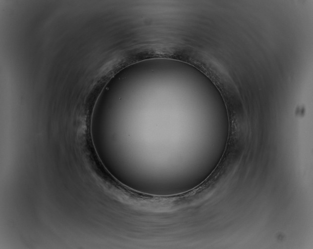 X0000100750032200806191154