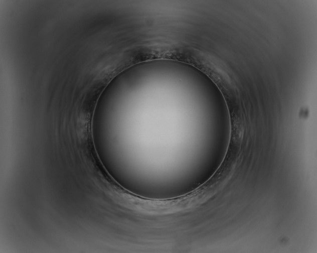 X0000100750034200806191154