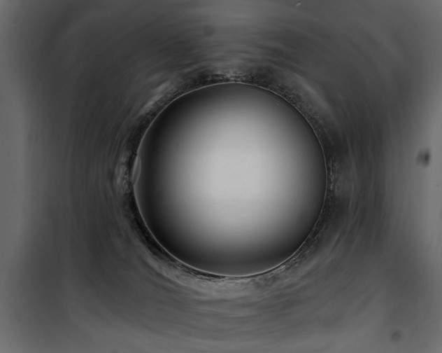 X0000100750036200806191154