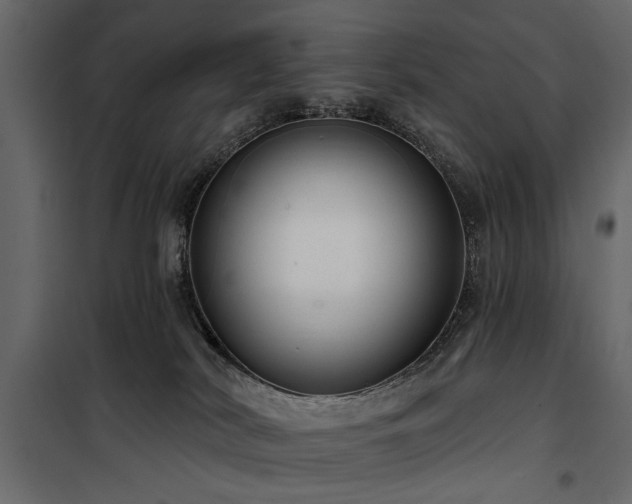 X0000100750038200806191154