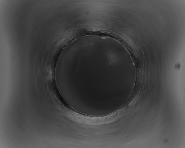 X0000100750039200806191154