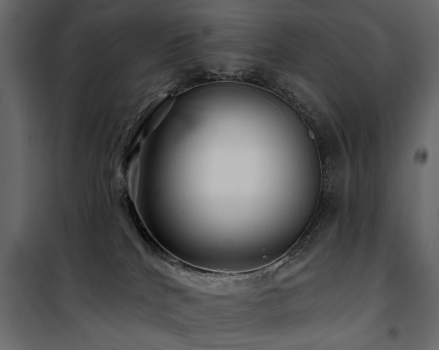 X0000100750040200806191154