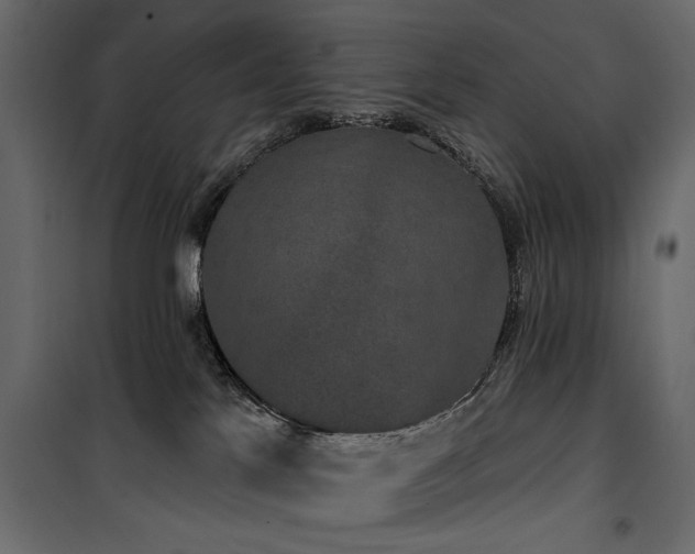 X0000100750041200806191154