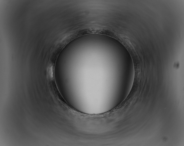 X0000100750042200806191154