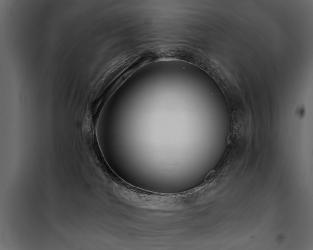 X0000100750044200806191154