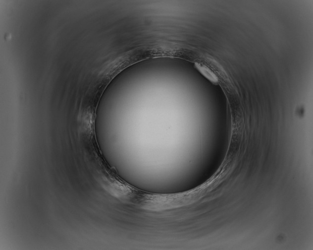 X0000100750045200806191154