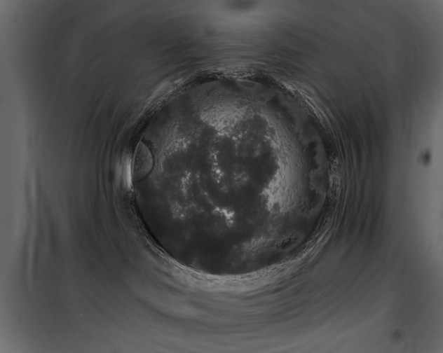 X0000100750046200806191154