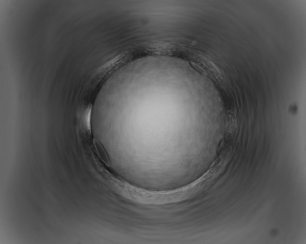 X0000100750047200806191154