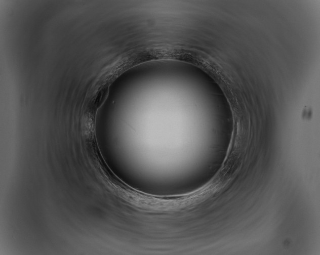 X0000100750048200806191154