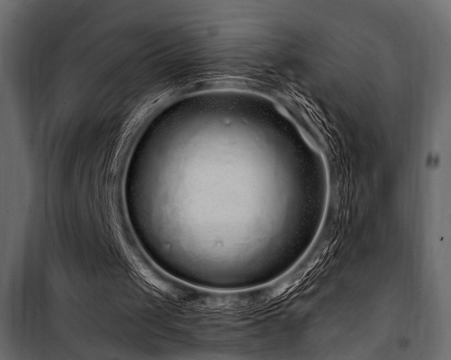 X0000100750049200806191153