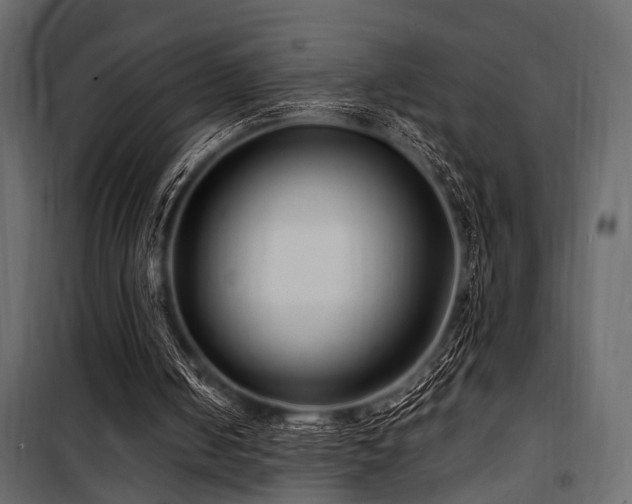 X0000100750050200806191153