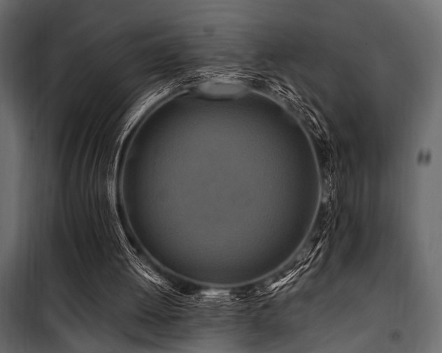 X0000100750052200806191153