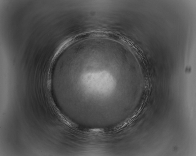 X0000100750053200806191153