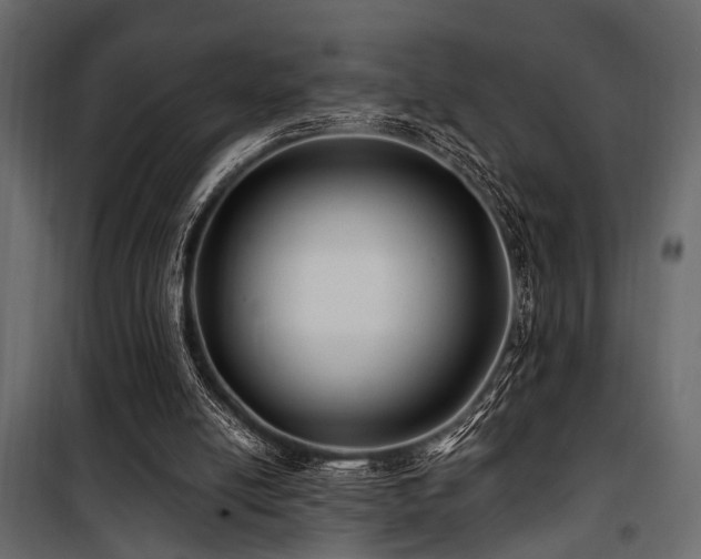 X0000100750054200806191153