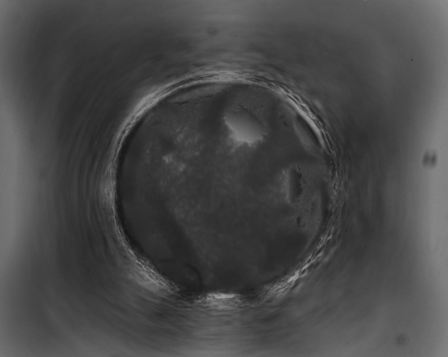 X0000100750055200806191153