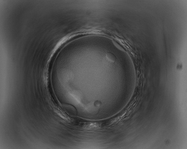 X0000100750056200806191153