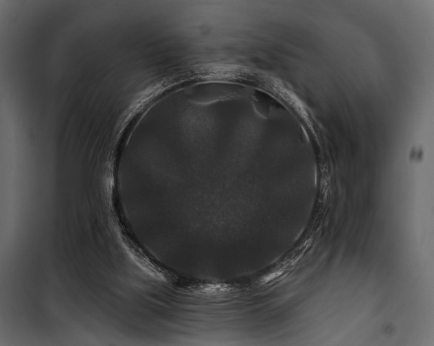 X0000100750059200806191153