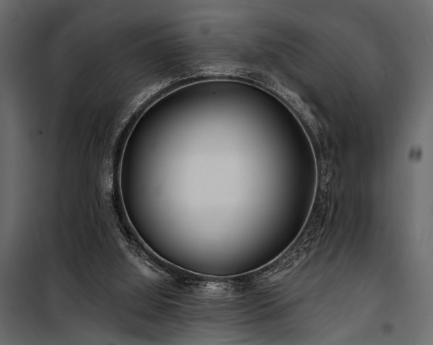 X0000100750060200806191153