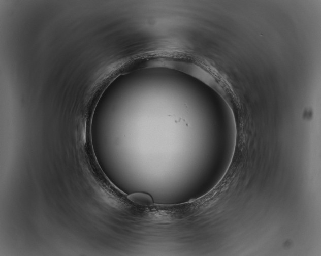 X0000100750062200806191153