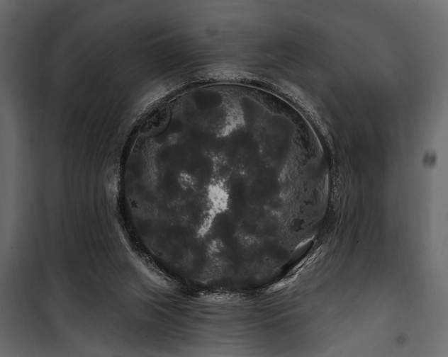 X0000100750063200806191153