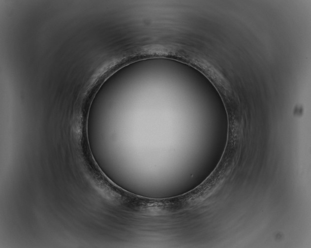 X0000100750064200806191153