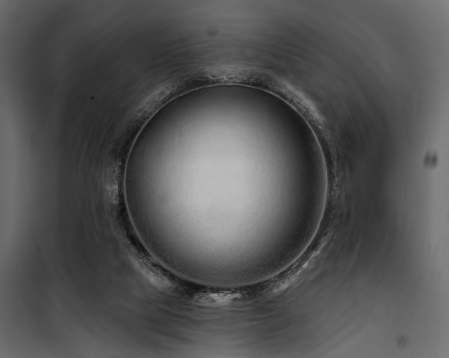 X0000100750065200806191153