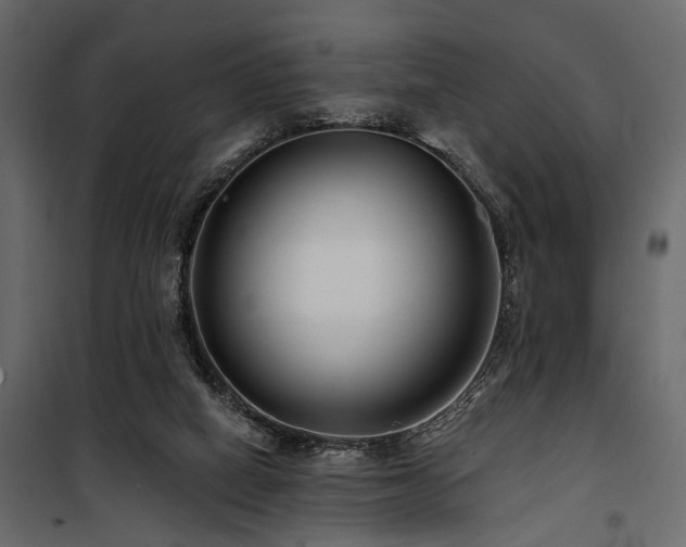 X0000100750066200806191153