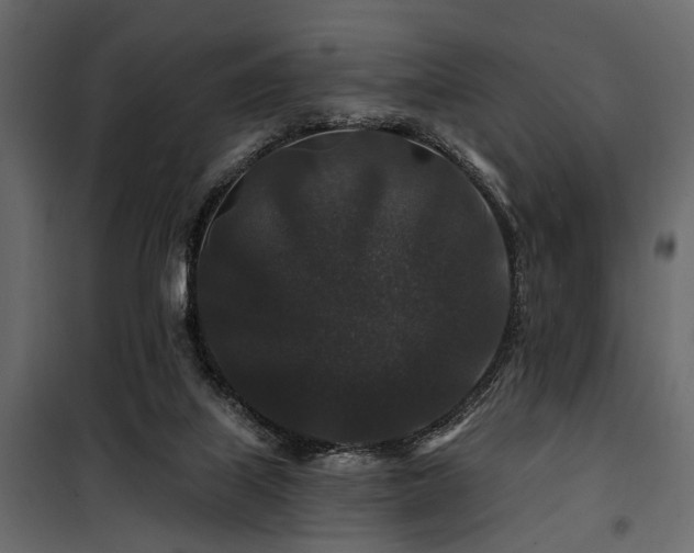 X0000100750067200806191153