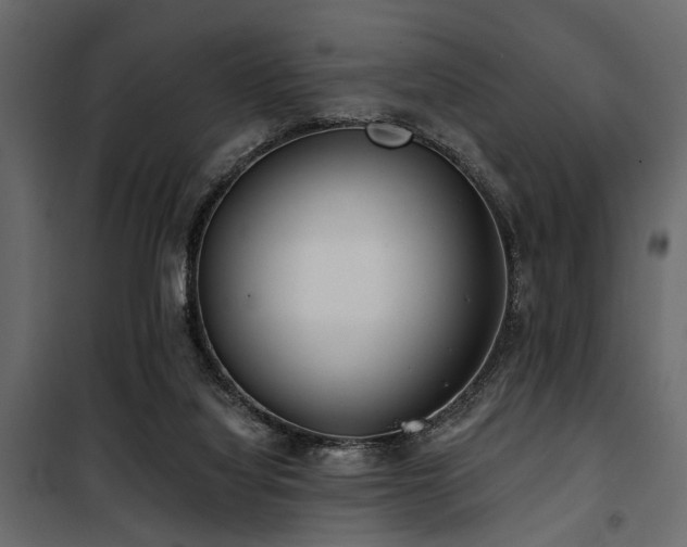 X0000100750068200806191153