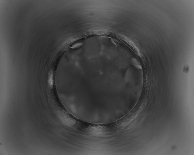 X0000100750069200806191153