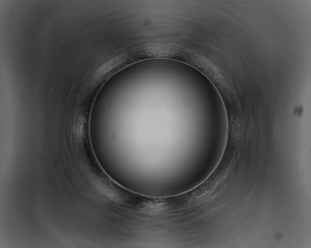 X0000100750071200806191153