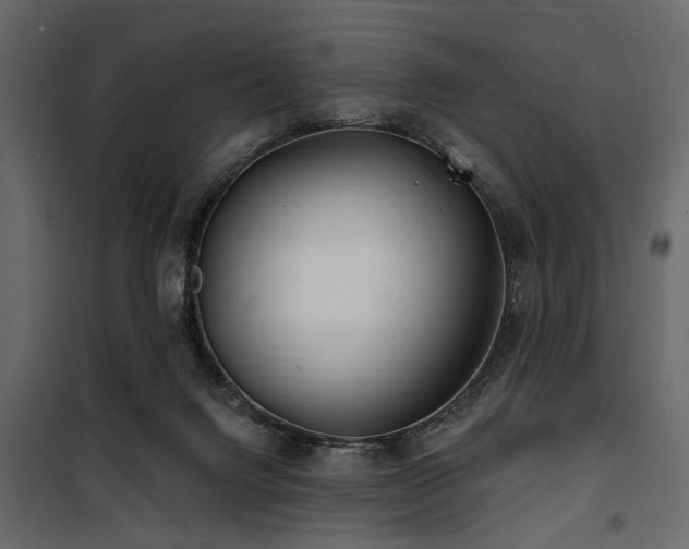 X0000100750072200806191153