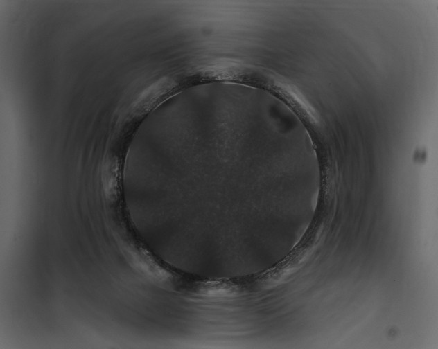 X0000100750073200806191153