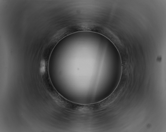 X0000100750075200806191154