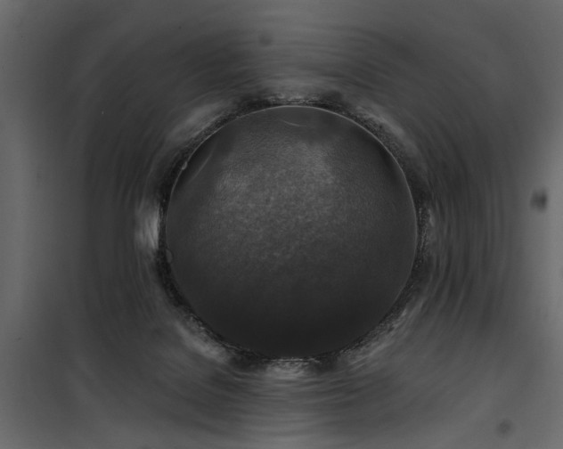 X0000100750076200806191154