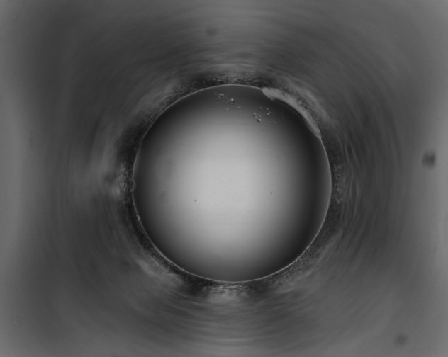 X0000100750077200806191154