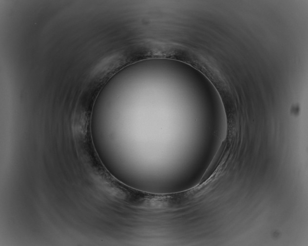 X0000100750078200806191154