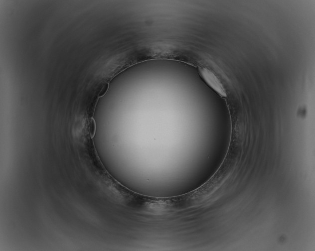 X0000100750079200806191154